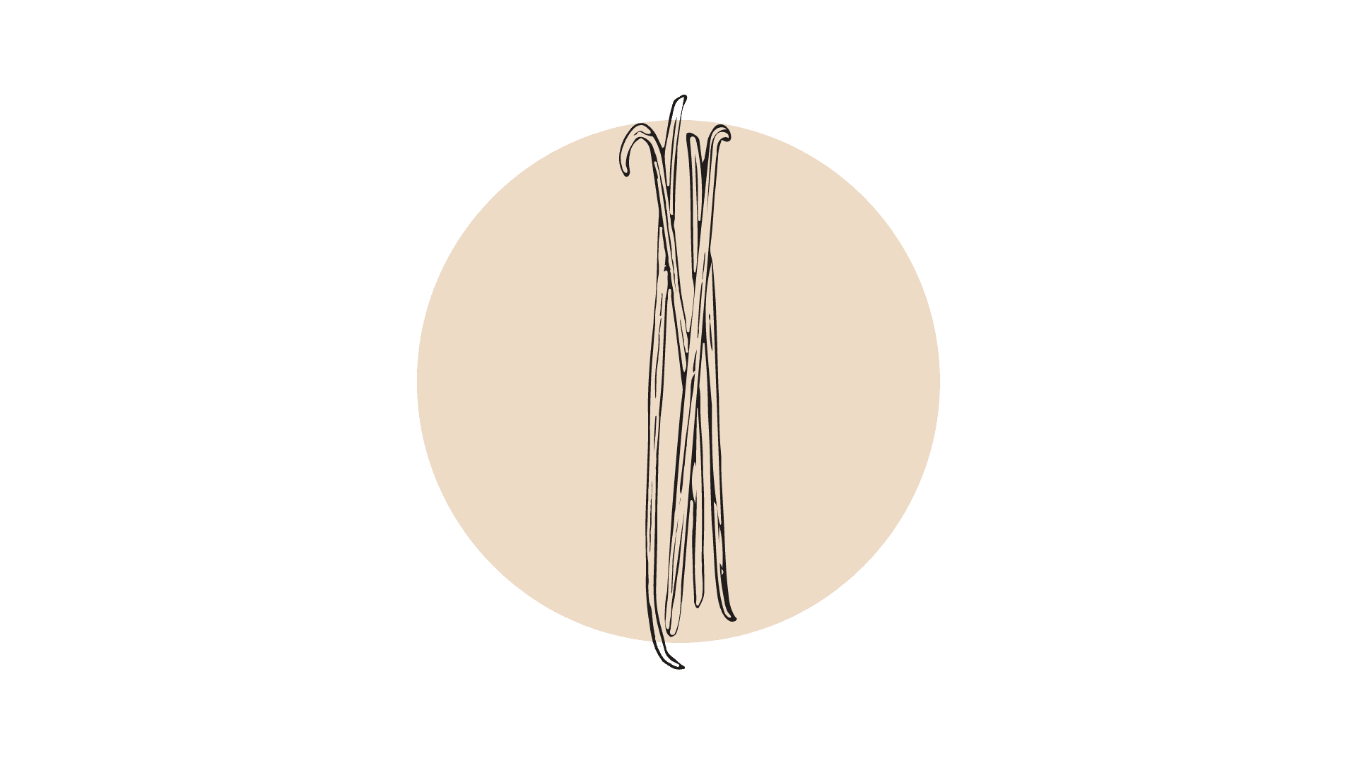 Vanille CO2 extract (12% Vanillin)