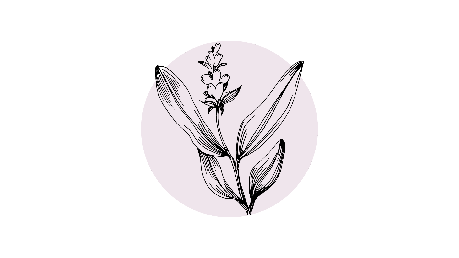 Salie Etherische Olie