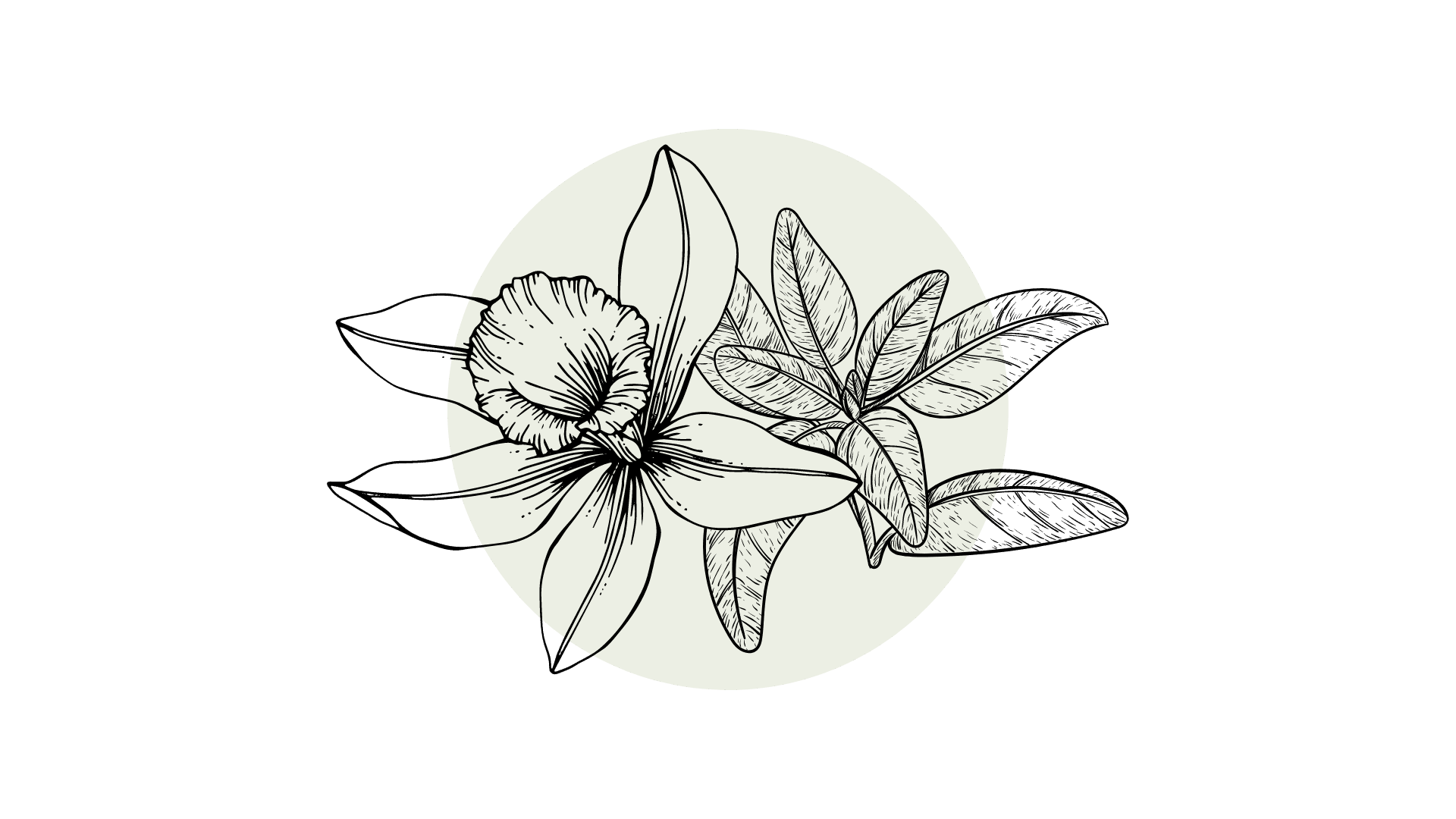 Fresh Balance EO Blend