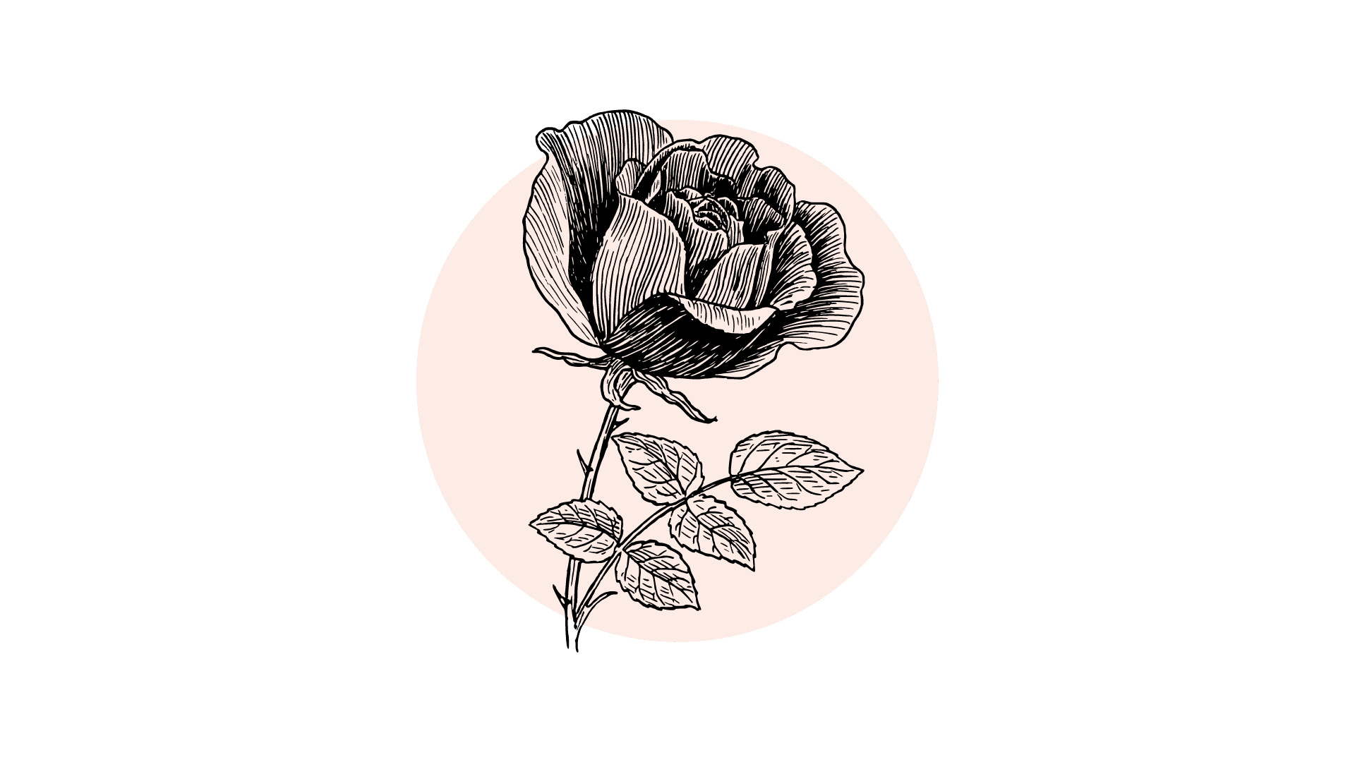 Gedroogde Rozenblaadjes