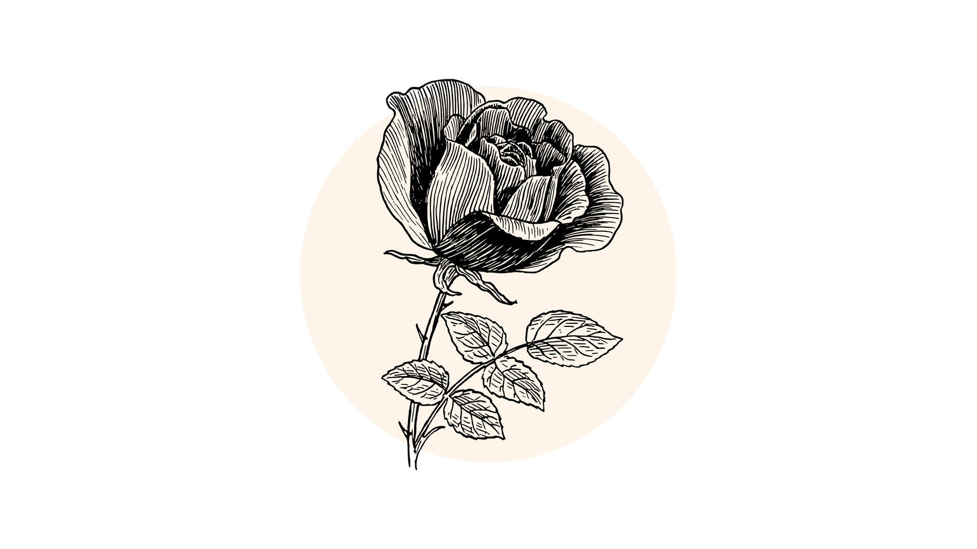 Gedroogde Rozenblaadjes