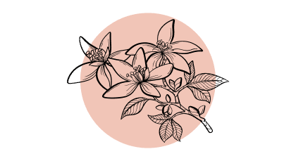 Neroli Etherische Olie