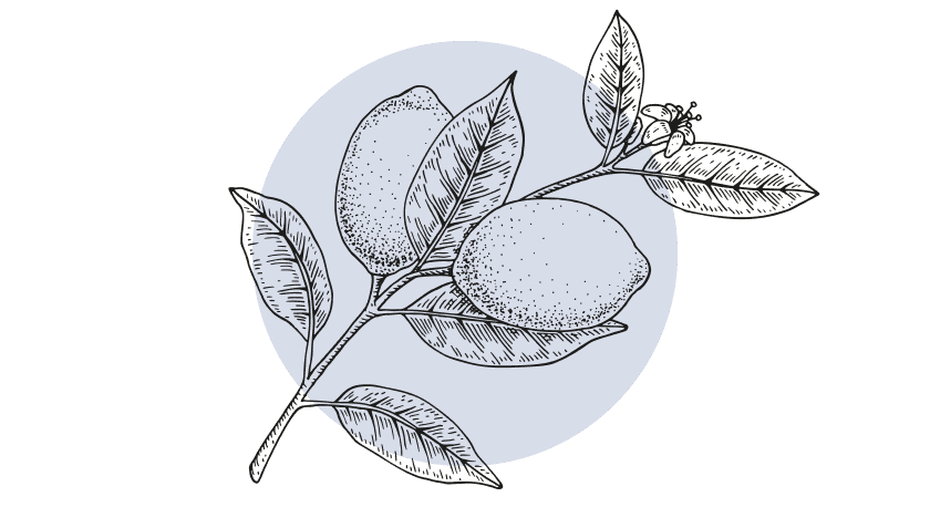 Citroen Etherische Olie