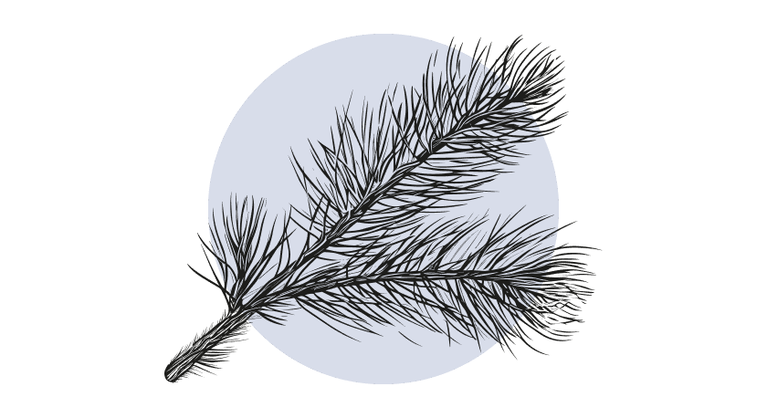 Grove Den Etherische Olie