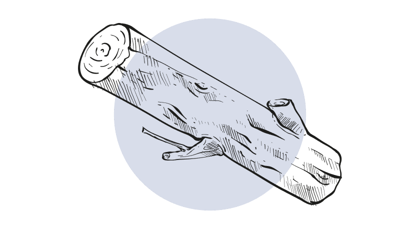 Sandelhout Etherische olie