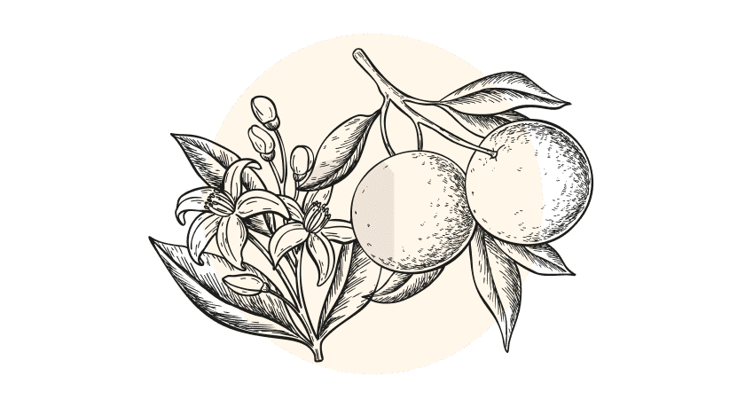 Tropical Zest EO Blend