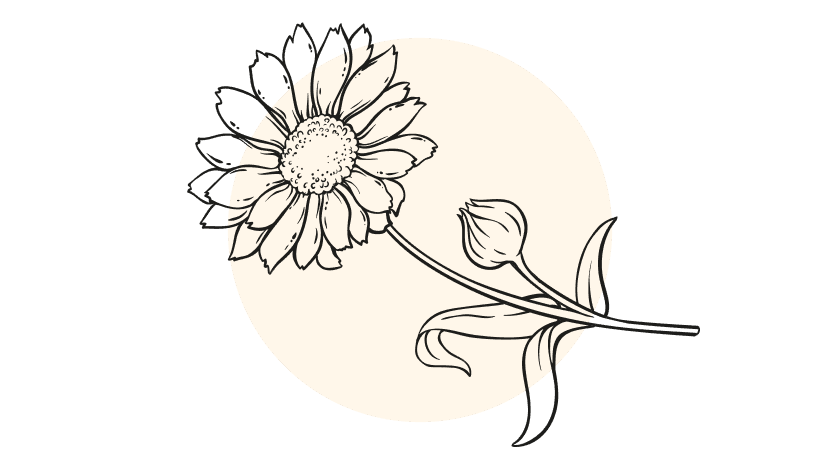 Calendula CO2 Extract