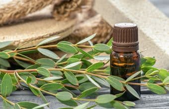 Etherische olie: de ziel van de plant