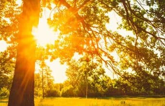 Wat doet zonlicht nou echt met je huid? 