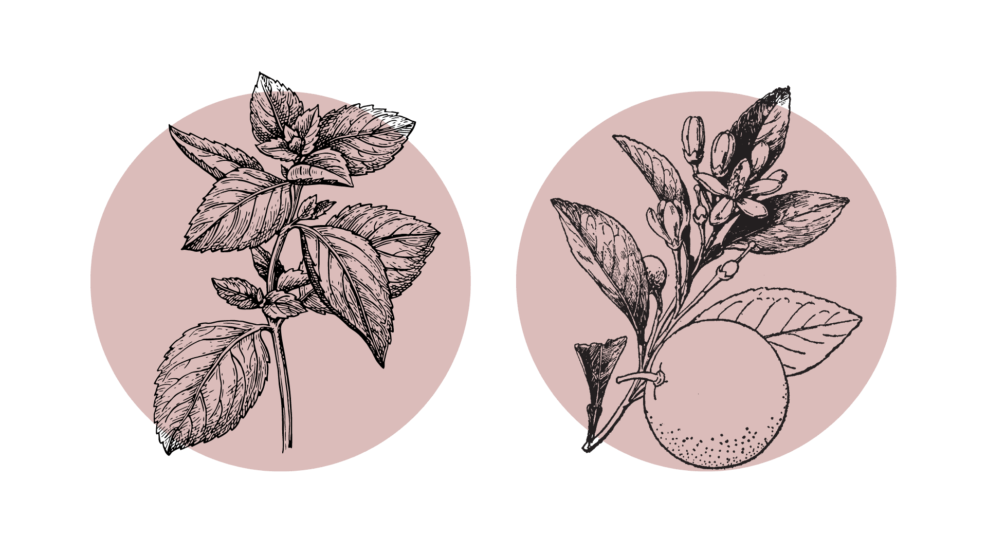 Plump it up Etherische Olie Blend